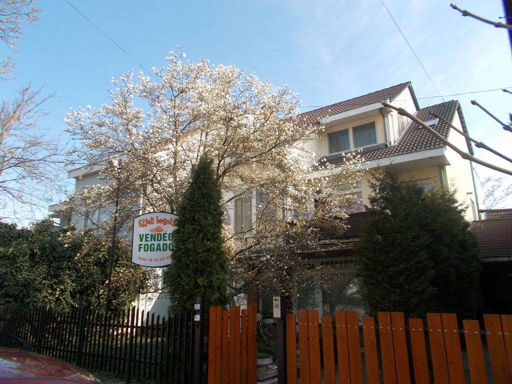 Ejjelibagoly Vendeghaz Hotel Szentes Exterior photo